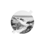 Edge